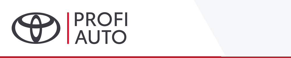 profi auto banner 1000x200